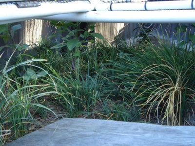 Landscaping