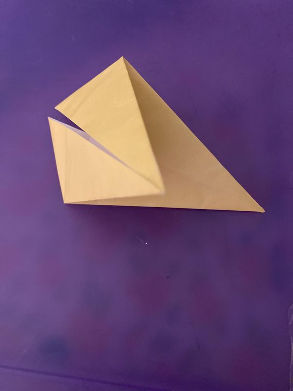 Origami Rat : 27 Steps - Instructables