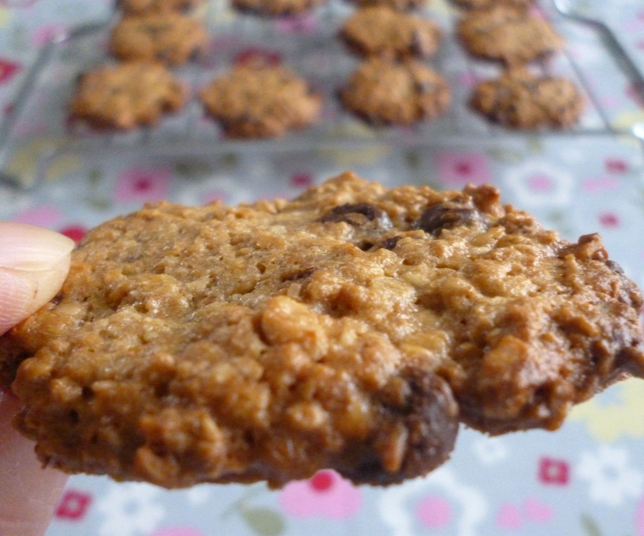 Fast & Easy Chocolate Chip Oat Cookies