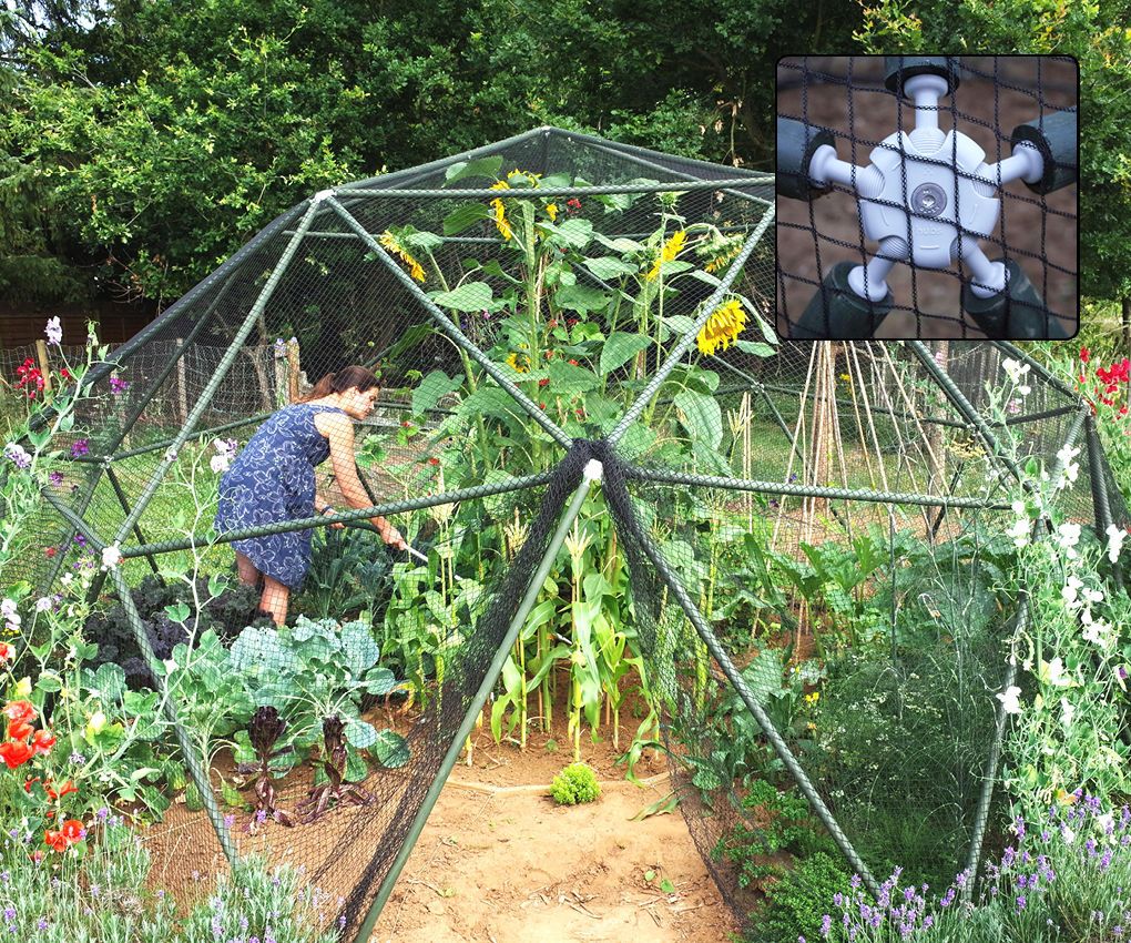 Build a Geodesic Dome Fruit Cage With Hubs