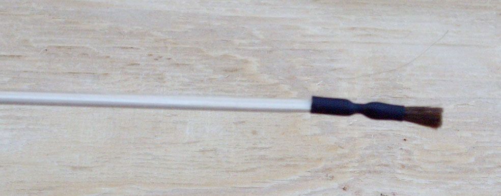 Make Brushes (such As for Painting)
