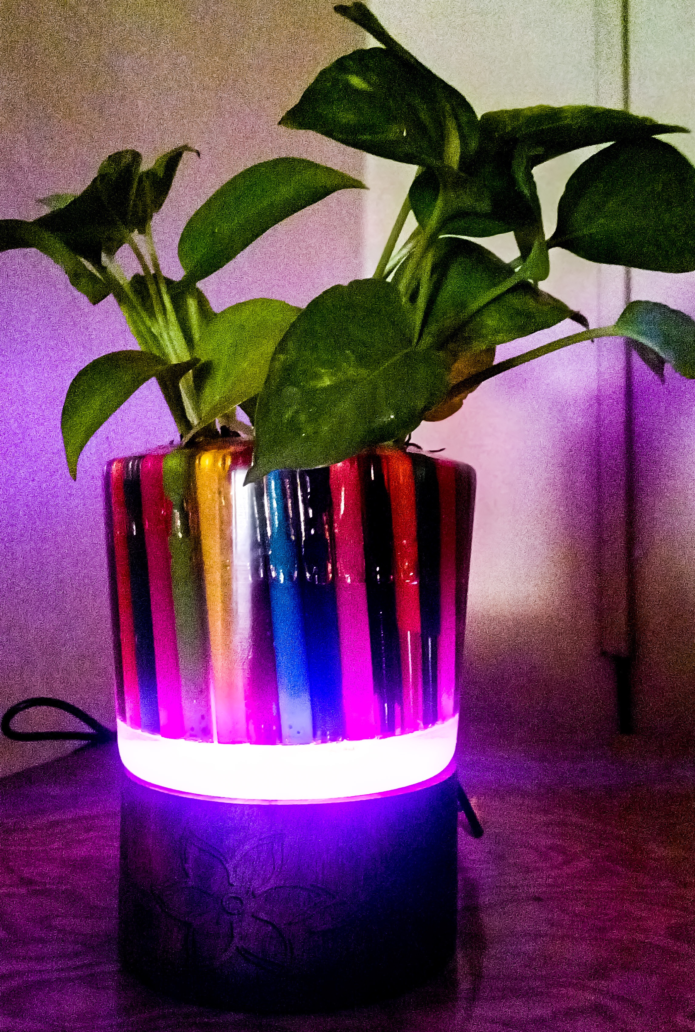 DIY GLOWING RESIN PLANTER 13 Steps (with Pictures) Instructables