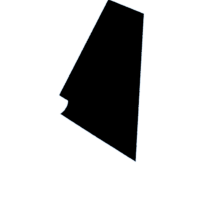 download {{ file.name }}