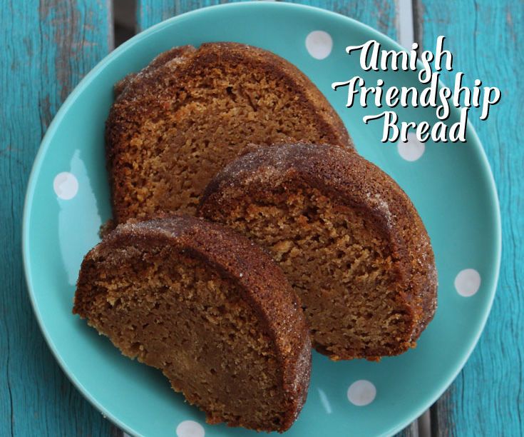 Amish Friendship Bread Starter and Recipe!