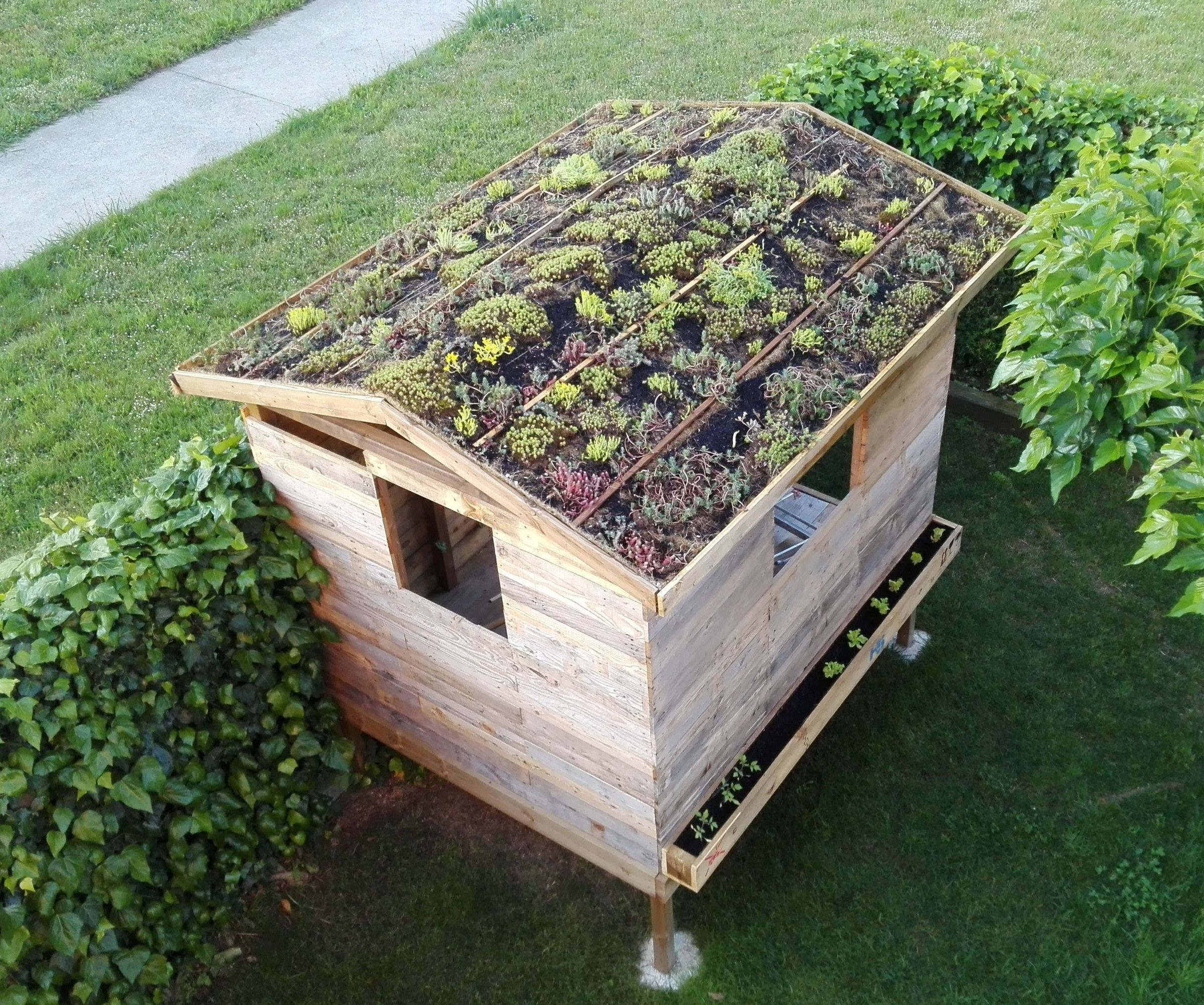 Green Roof for a Tiny Wooden House
