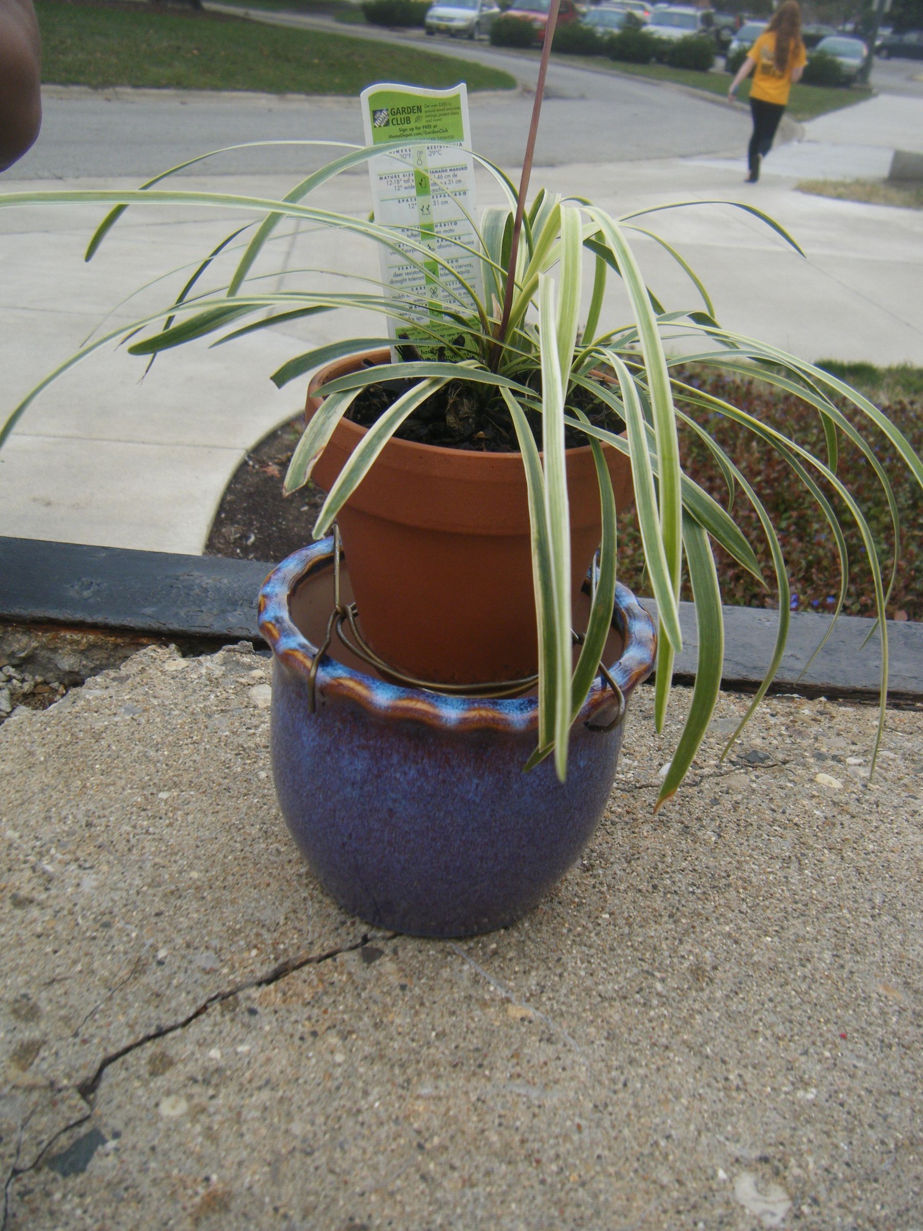 Self-Watering Planter