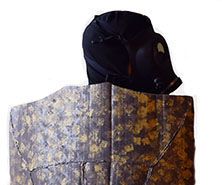 Stink Bug Halloween Costume