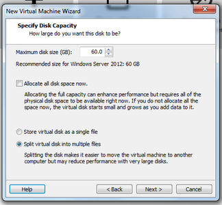 STEP 15: Give the VM Hard Drive "Space"