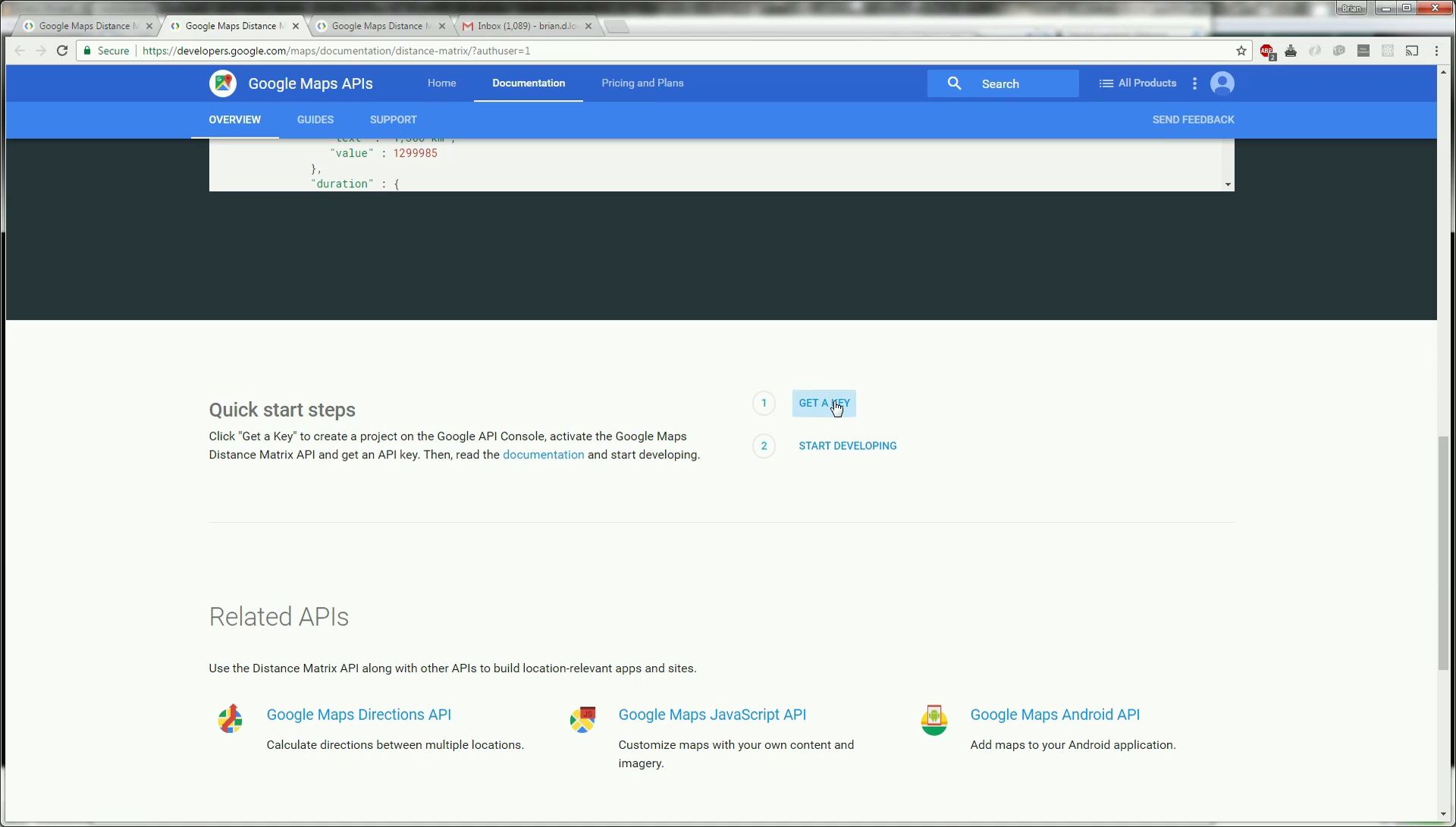GOOGLE MAPS LIVE TRAFFIC API visual data 3