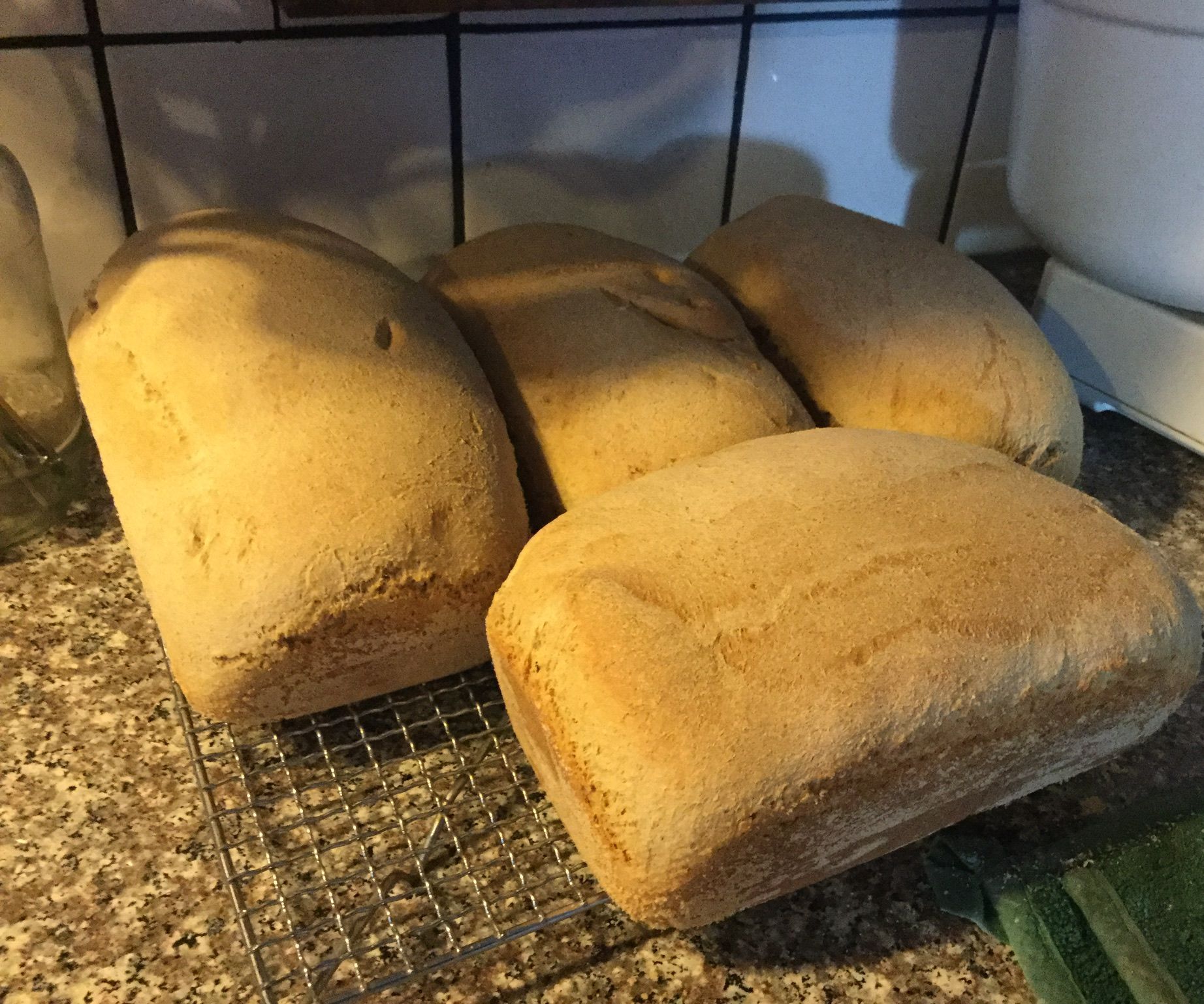 1 Rise Whole Wheat Bread