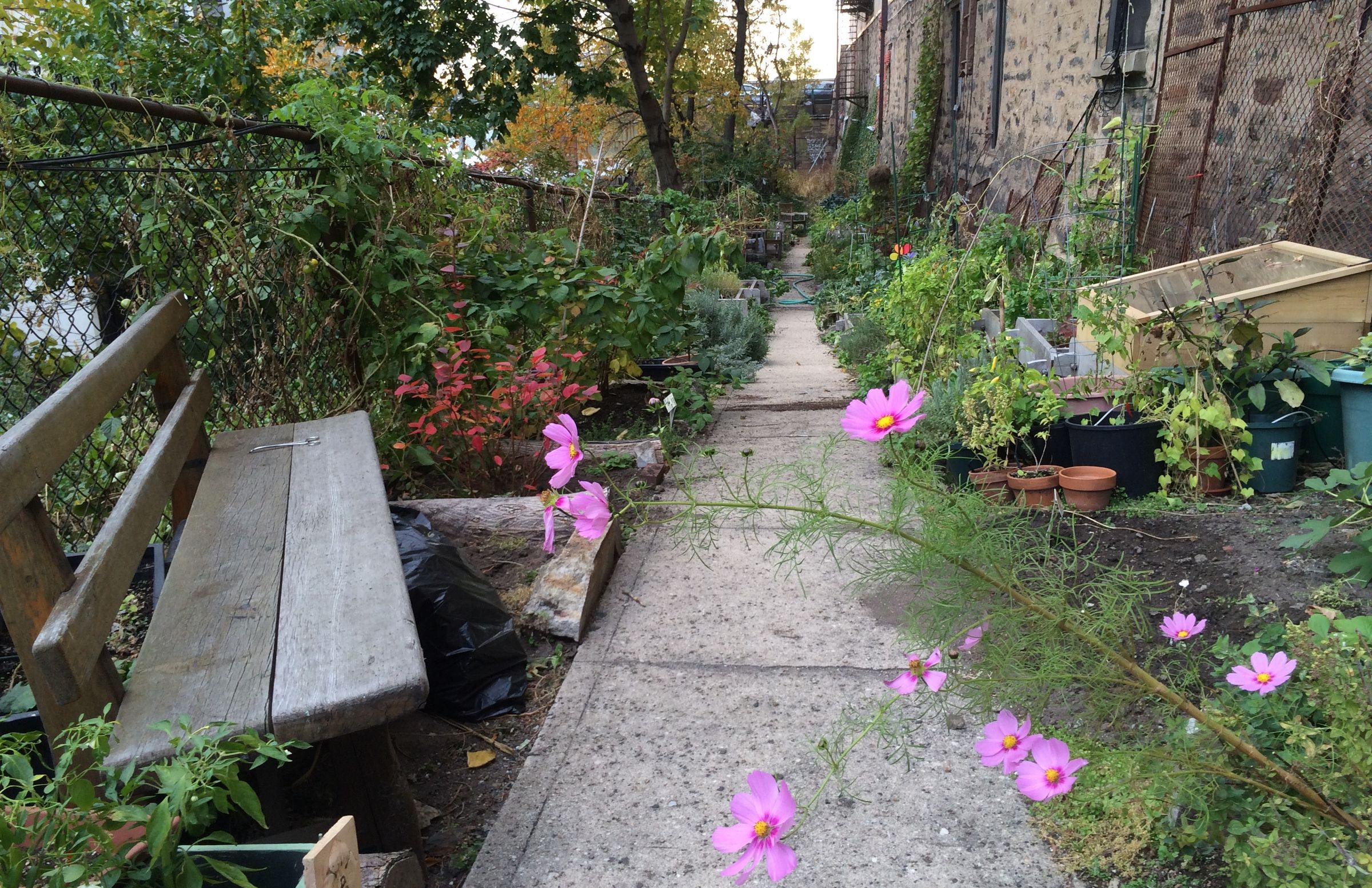 Build a Community Garden 8 Steps (with Pictures) Instructables