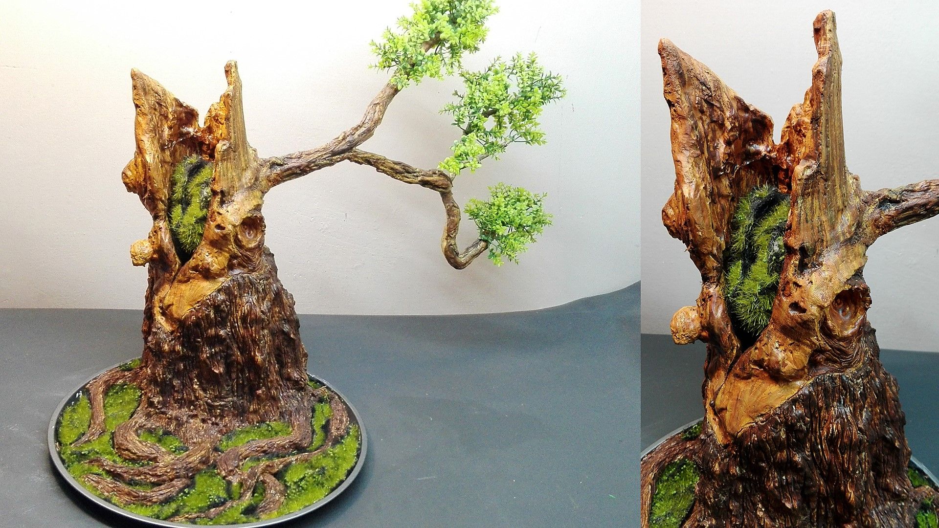 perfect bonsai Fukien Tea Bonsai 18+ Years