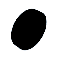 download {{ file.name }}