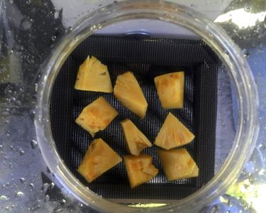 Free, Green, Solar Dehydrator