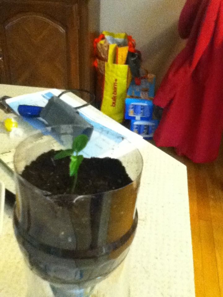 Recycled Self Watering Planter