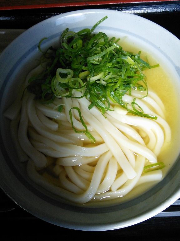 SANUKI UDON