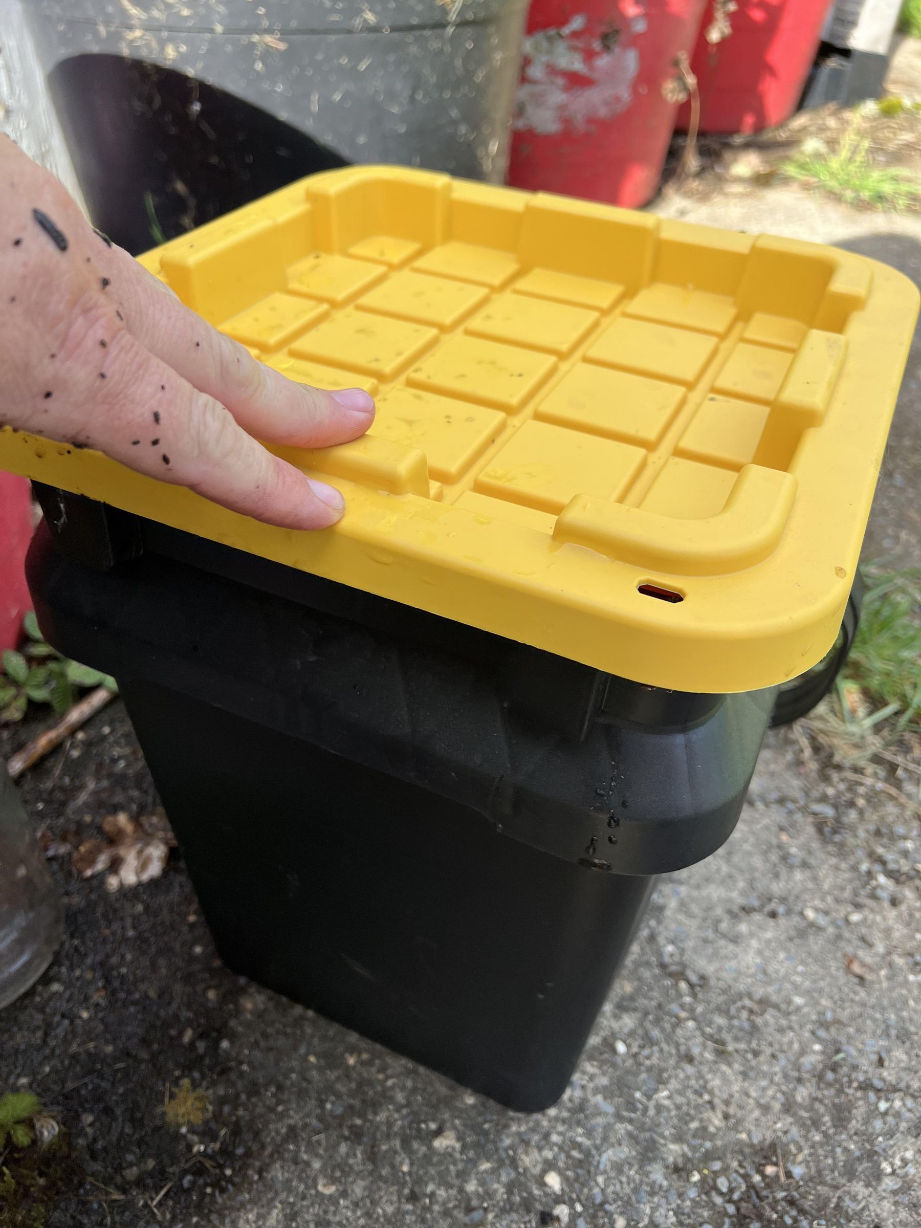 Manure Tea or Compost Tea 4 Steps Instructables