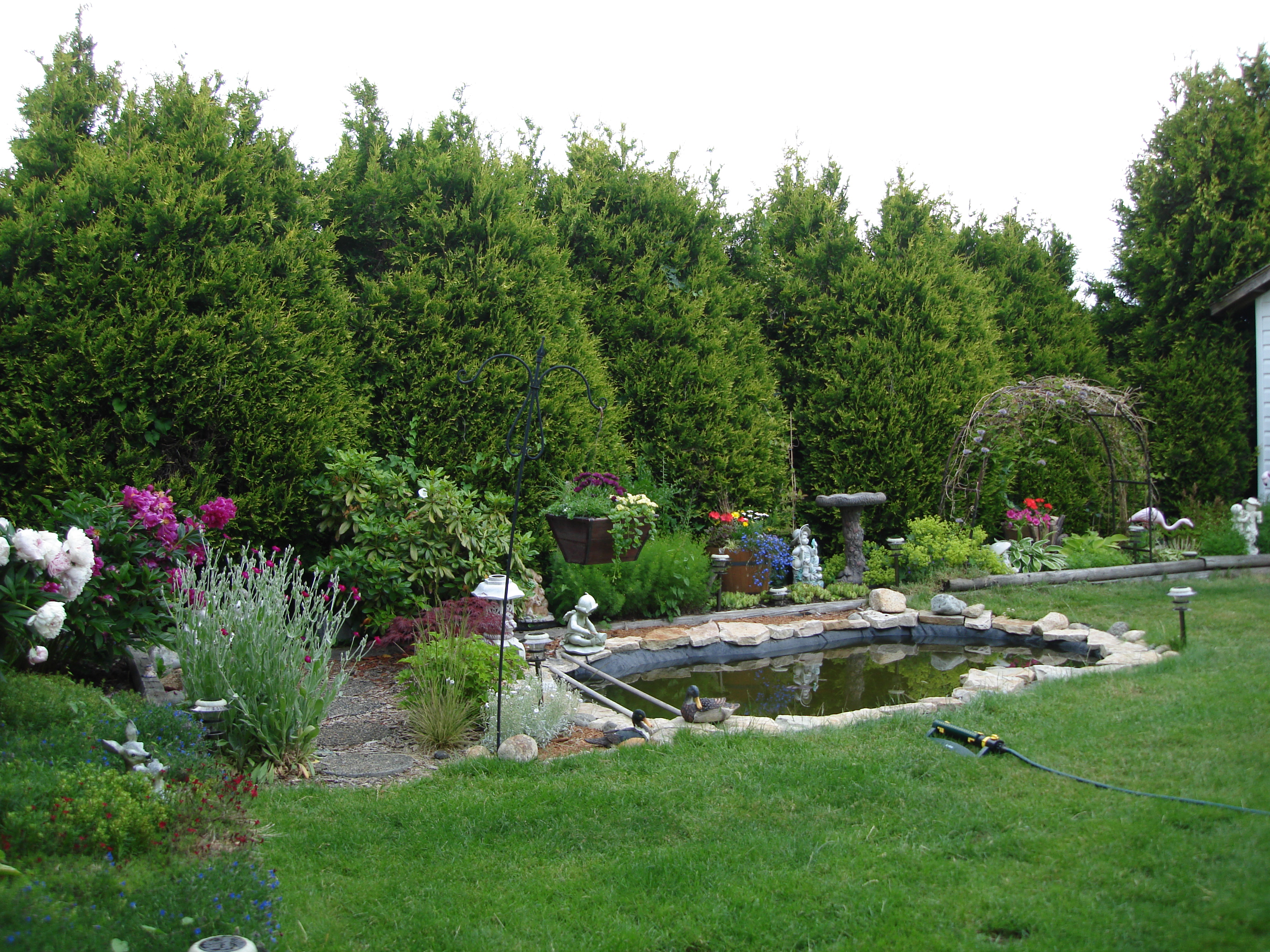 How to Garden! Basics