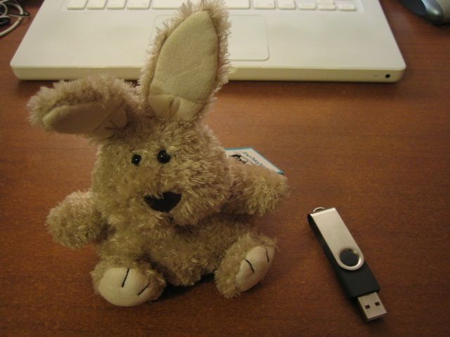 Easter gift usb thumbdrive bunny - Pocket-sized contest