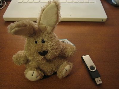 Easter Gift Usb Thumbdrive Bunny - Pocket-sized Contest