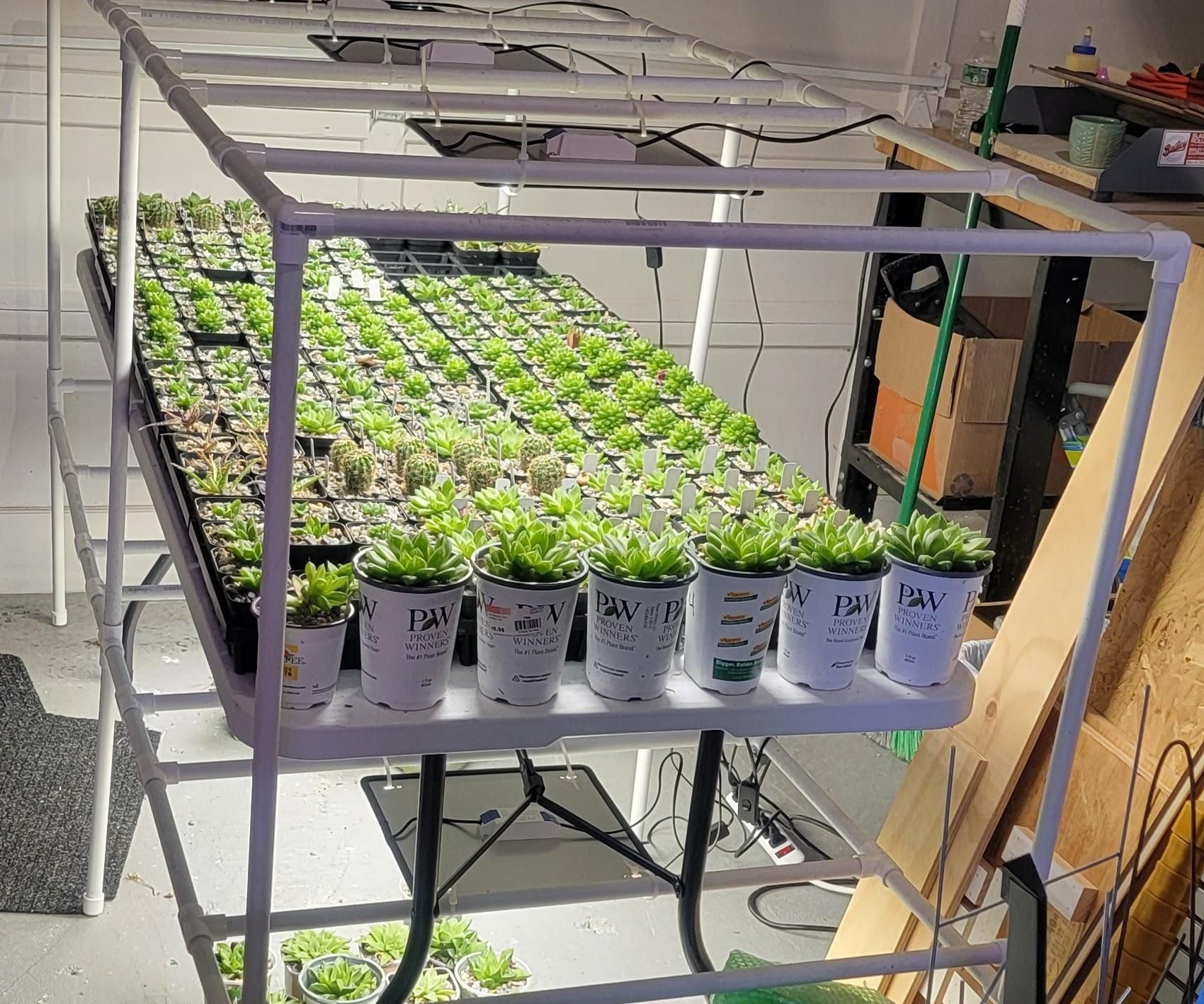 Indoor Plant/Seedling LED Lighting Frame