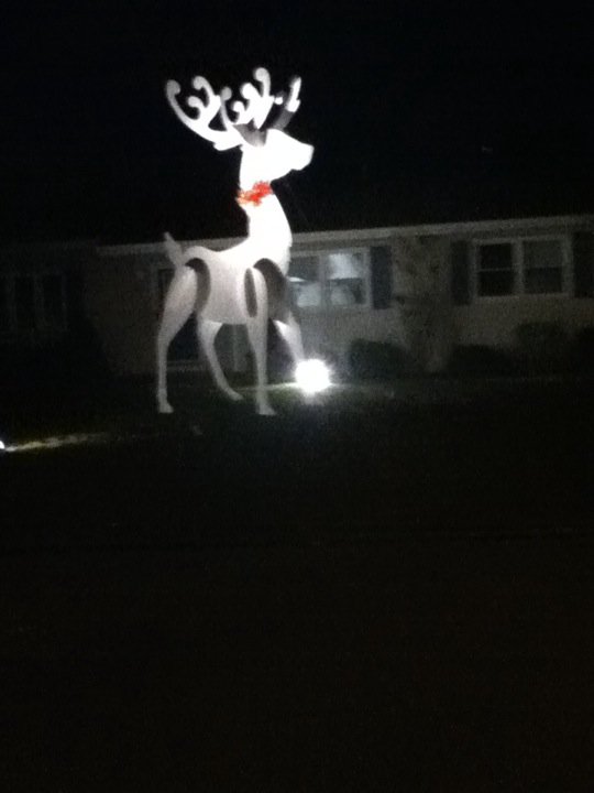 Giant Reindeer Christmas Decoration