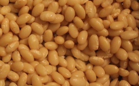 Beans, Beans, Beans - Choosing & Preparing 