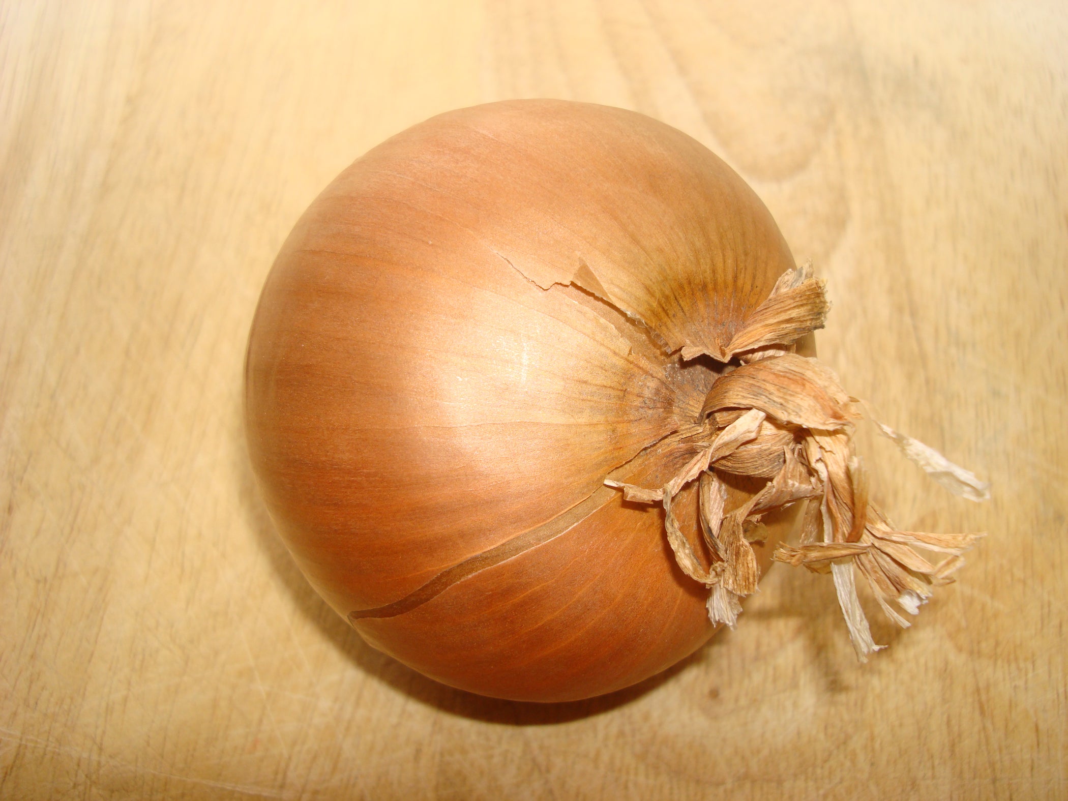 How to Cut an Onion Without Crying 6 Steps Instructables