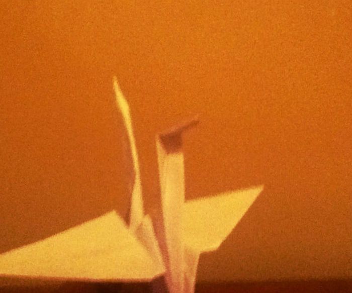 Origami Crane