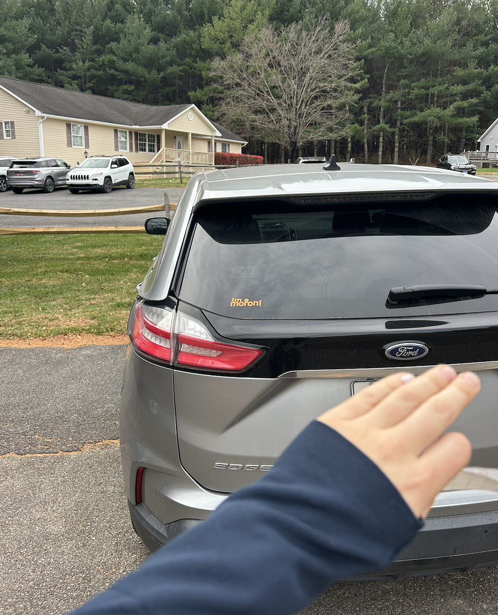 📸 Document the Chaos