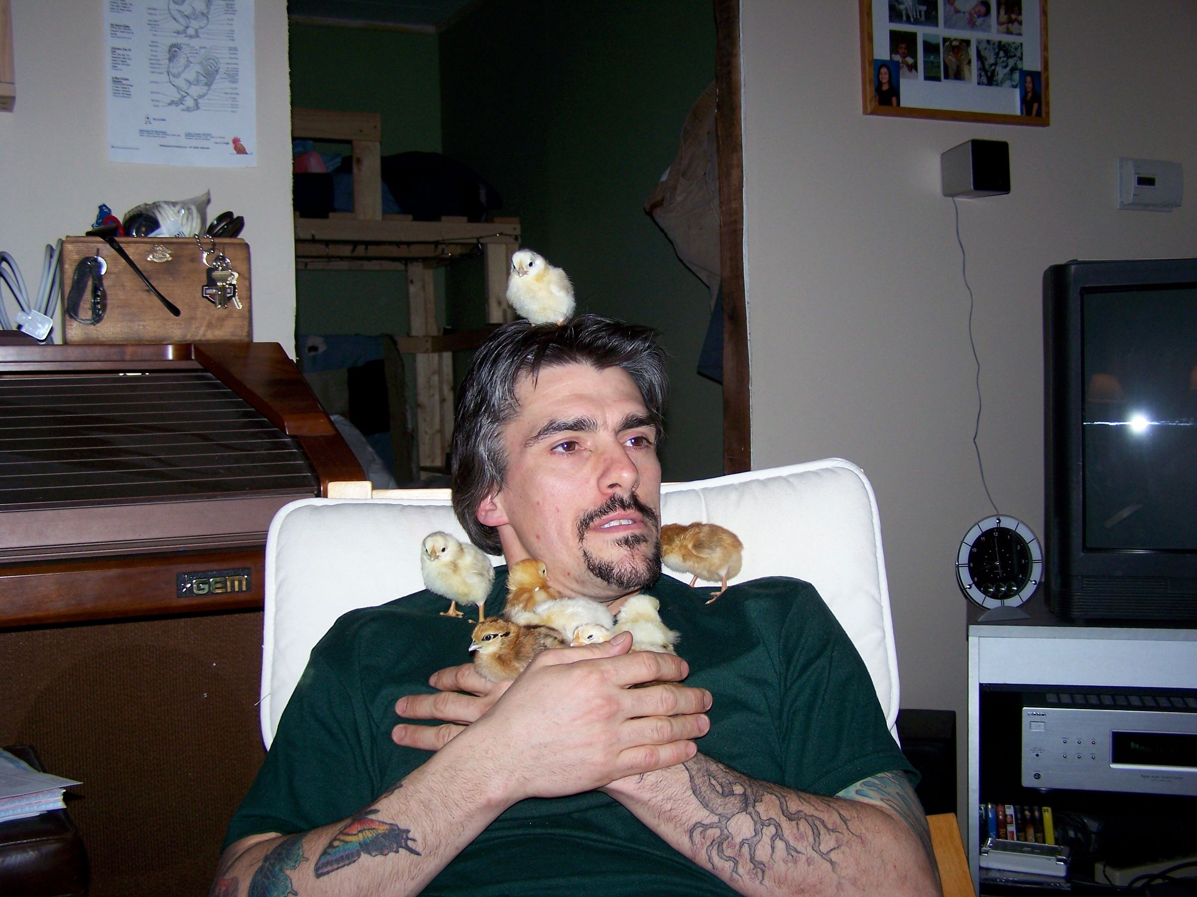author
