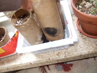 cheapest way to start seeds indoors