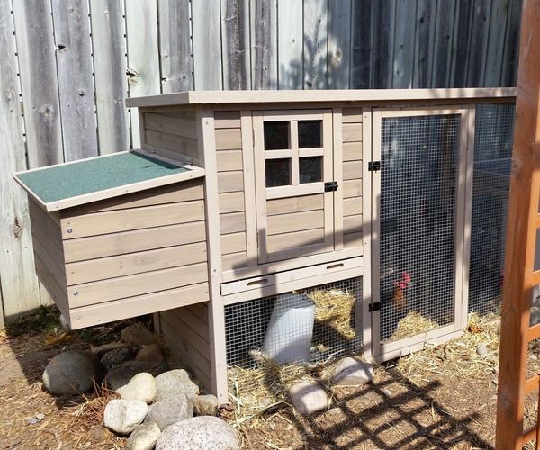 Chicken Waterer