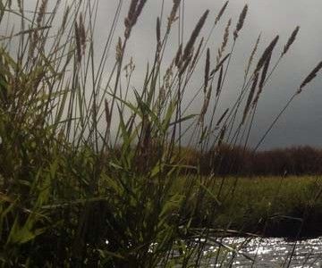 Fishing Recommendation: Precisely Where As Well As the Best Ways to Acquire Them