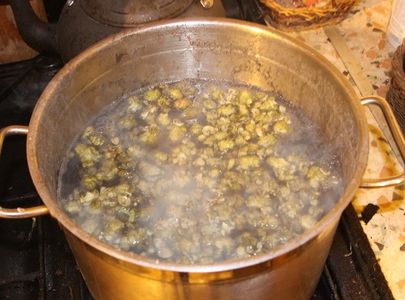 Alcohol Production