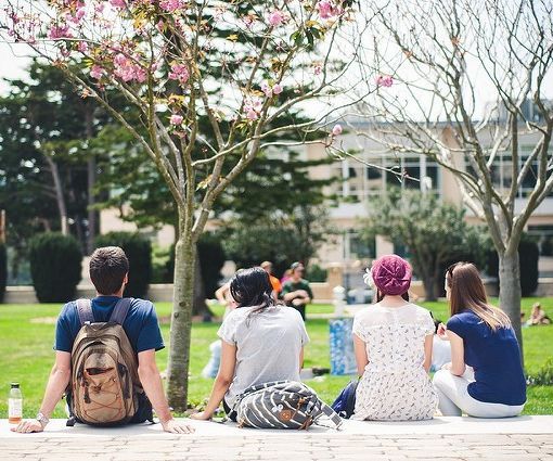 The Student Summer Survival Guide