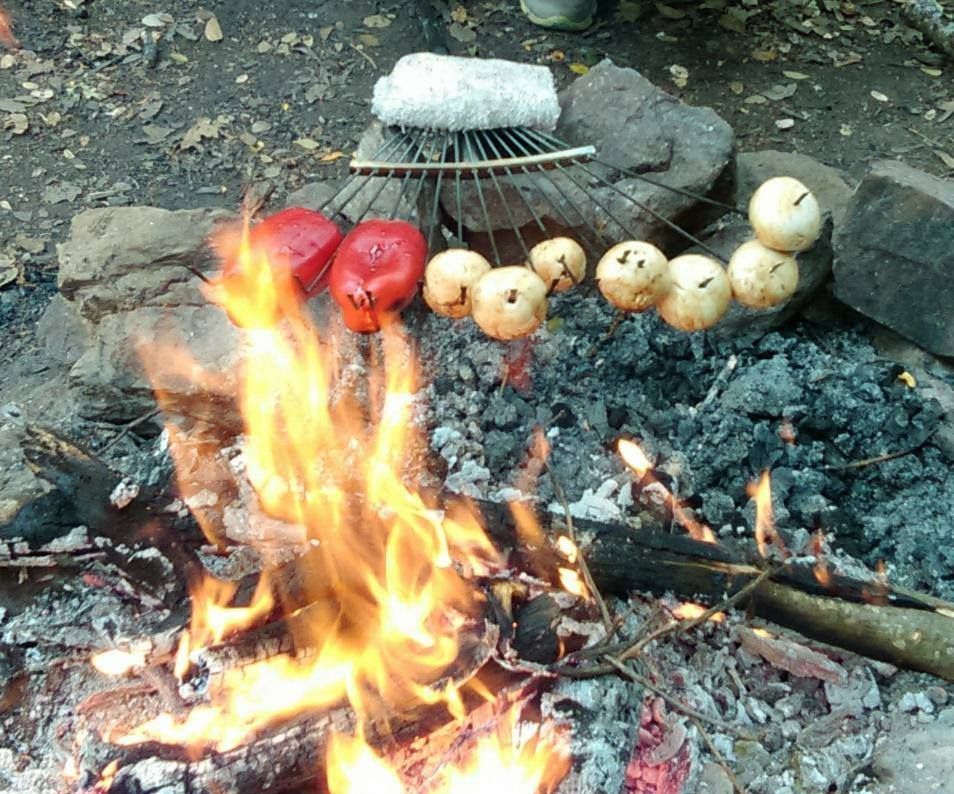 Rake-kabobs and Root Beer Marinaded Ribeyes