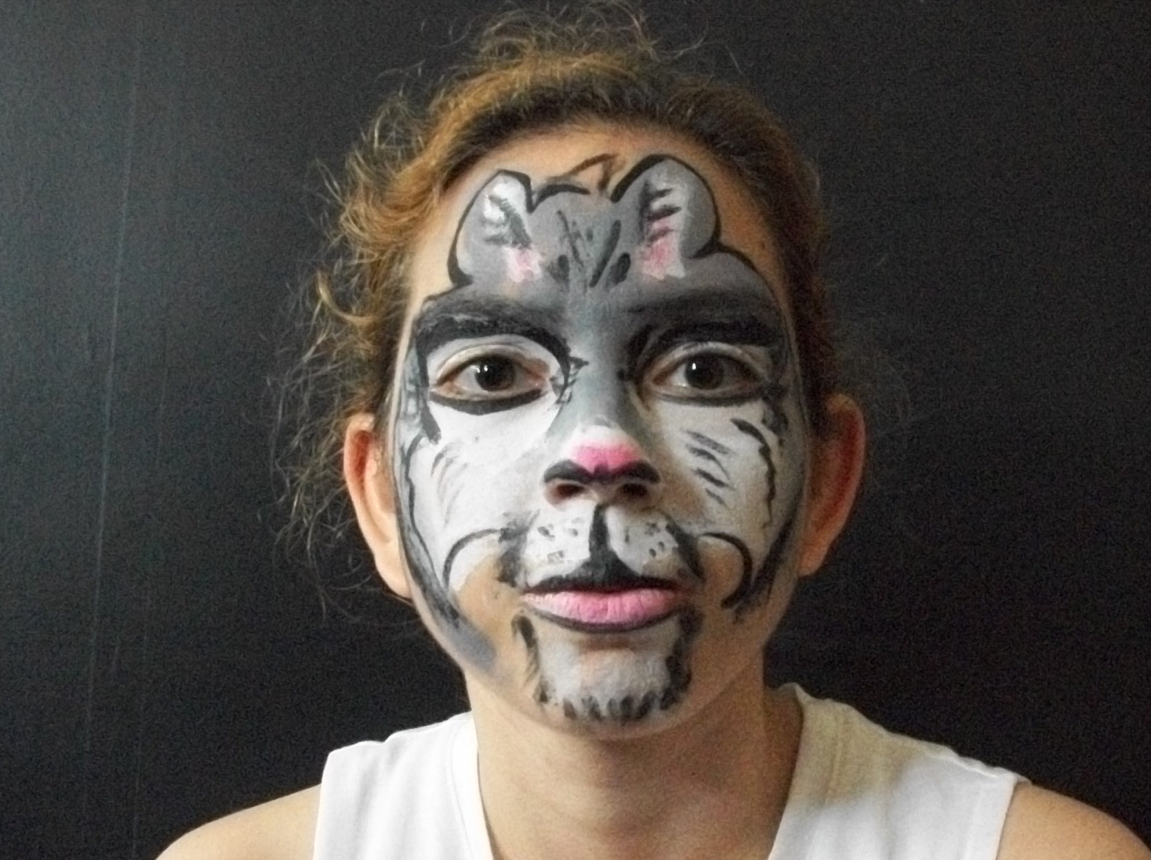 Grey Cat Face Paint 6 Steps (with Pictures) Instructables