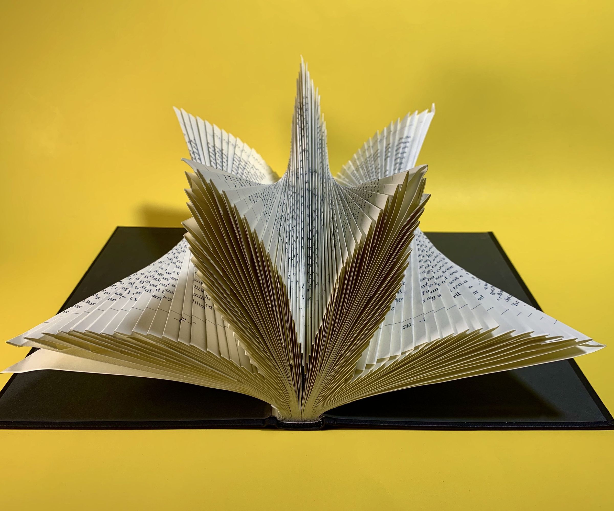 BOOK FOLDING PEAKS & VALLEYS
