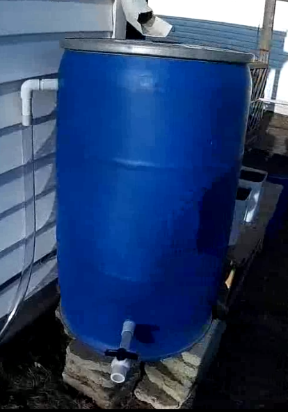 Rain barrel on the cheap