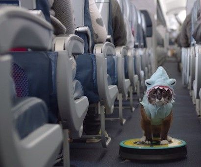 Adding Humor to Video Marketing Campaigns: a Powerful Tool