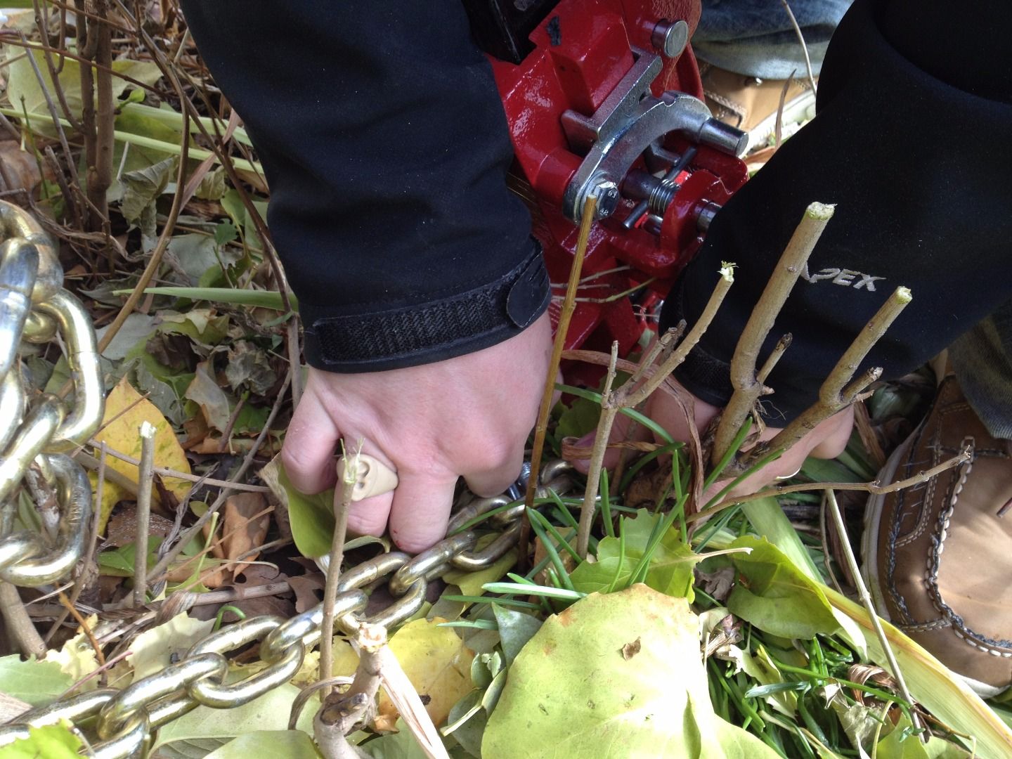Remove Bushes and Stumps the Easy Way With a Farm Jack (AKA HiLift