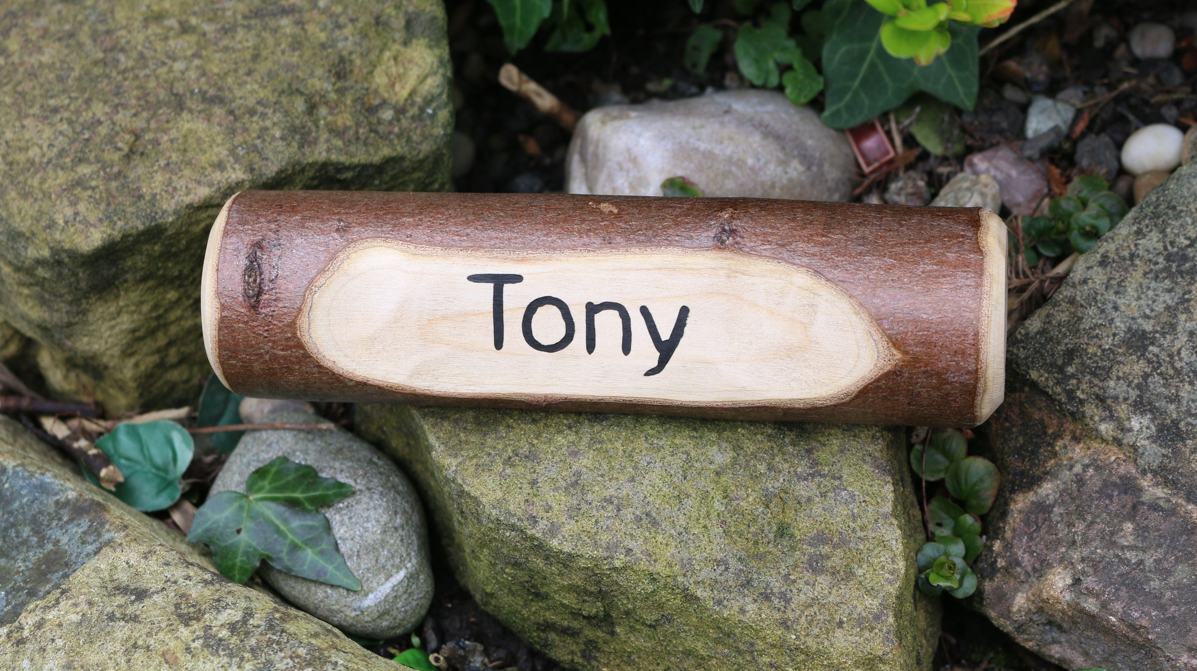 Super Simple! Rustic Log Name Plate : 4 Steps (with Pictures ...