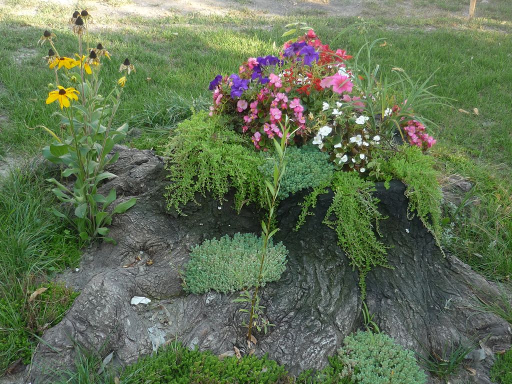 Recycling of an old log