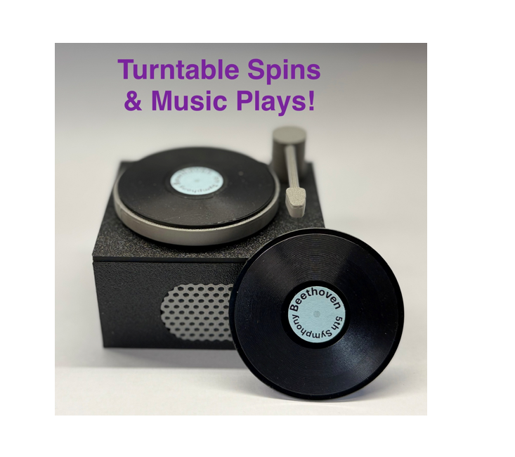 Mini Vinyl Record Player Turntable - Spins and Plays Music