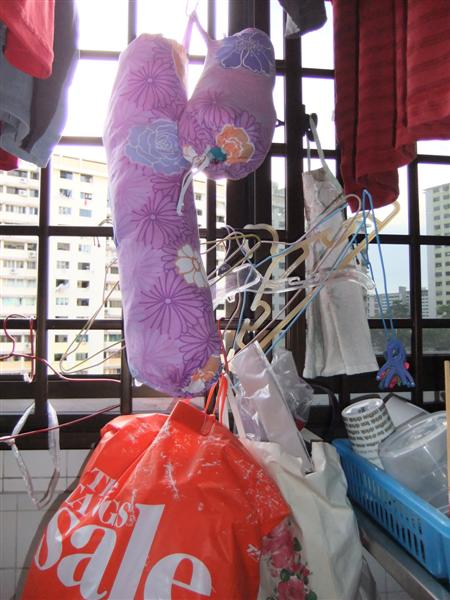 Plastic Bag Dispenser (made of cloth)