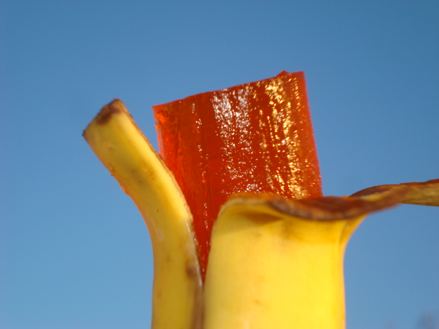 Homemade Jello and Heart Banana