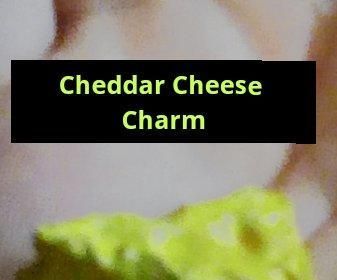 Cheddar Cheese Charm for Amateur Carvers