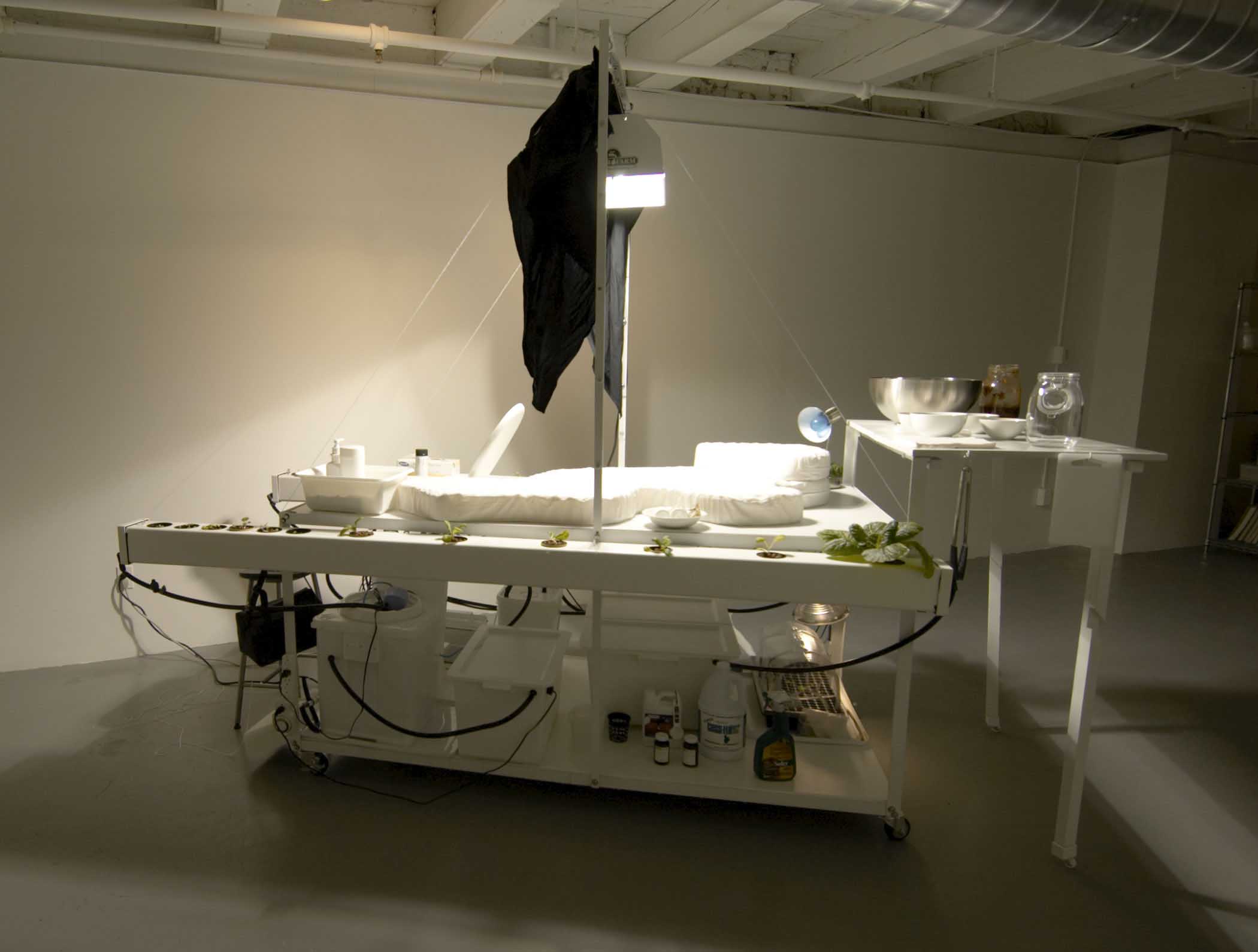 Vegan Spinach Pie, or How to Turn Your Urine Into an Ideal Hydroponic Solution for Plants! 4