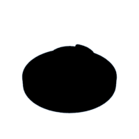 download {{ file.name }}